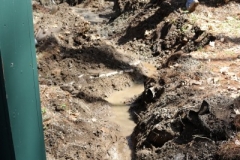 dyer-septic-excavation-norris-job-digging-ditch