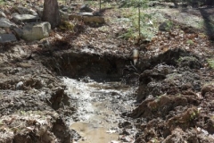 dyer-septic-excavation-norris-job-field-liquid