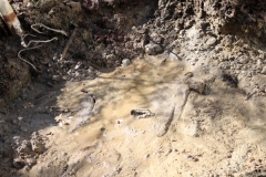 dyer-septic-excavation-norris-job-field-waste